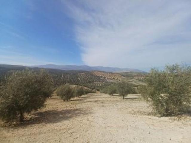 Chalet en venta en Salar, Salar photo 0