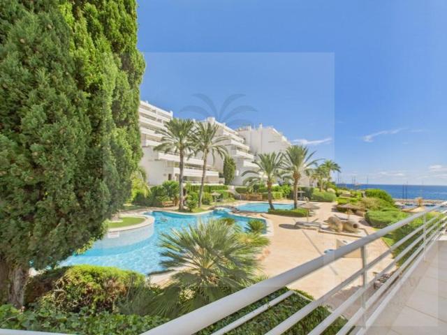 Aticos en venta en Calvia photo 0