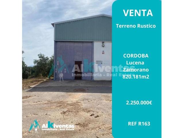 Terreno en venta en Lucena photo 0