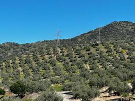 Chalet en venta en Andújar photo 0