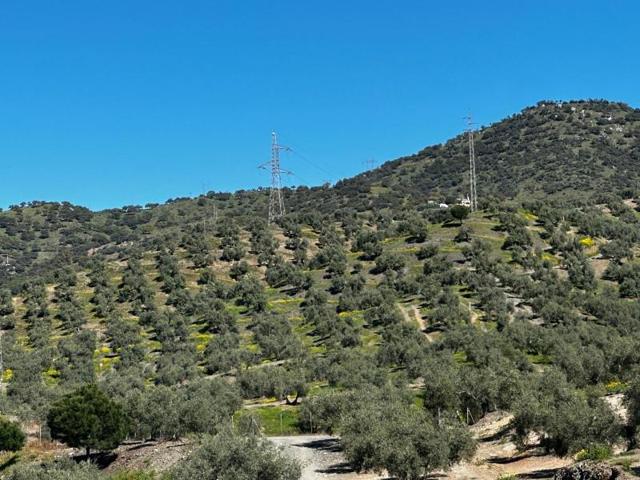 Chalet en venta en Andújar photo 0