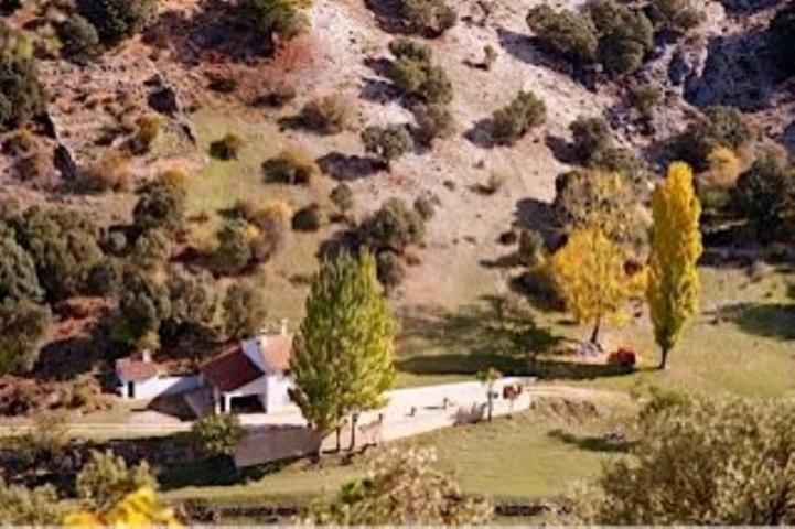 Casa en venta en Puebla de Don Fadrique, Centro photo 0