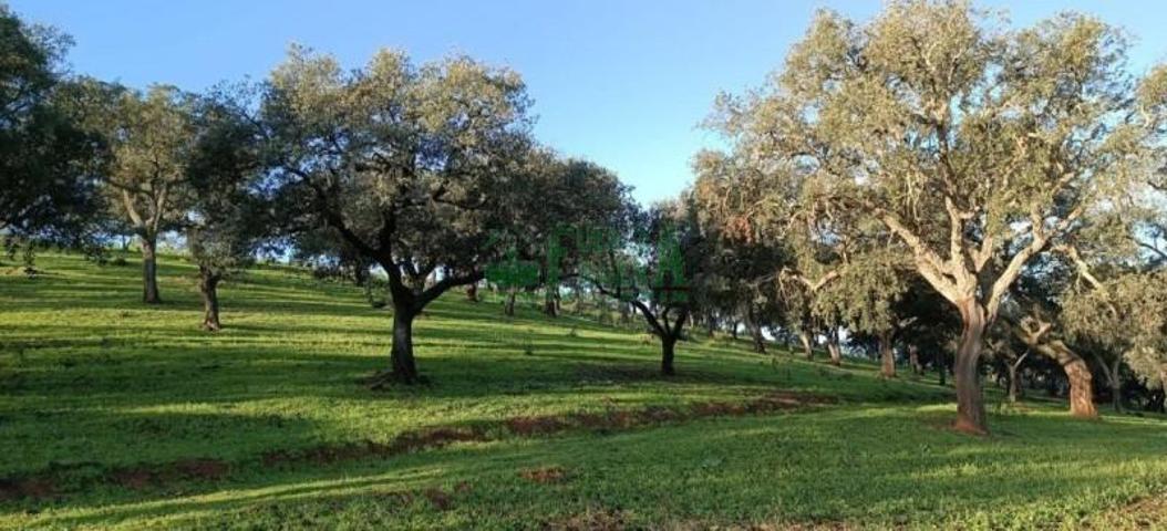 Chalet en venta en Aracena, Aracena photo 0