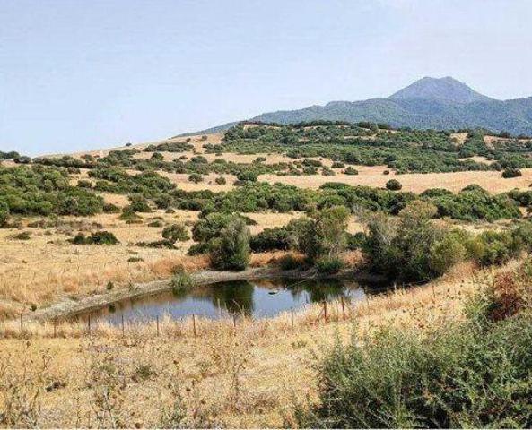 Terreno en venta en Gaucín, Gaucin photo 0