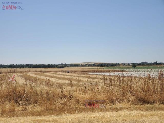 Chalet en venta en Ciudad Real, Ciudad Real photo 0