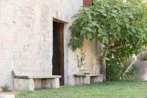 Chalet en venta en Sineu, Área de Sineu photo 0