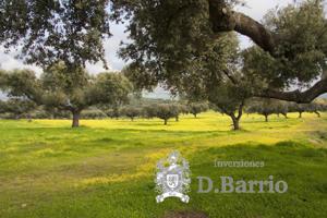 Chalet en venta en Córdoba, Cordoba photo 0