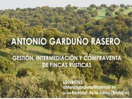 Chalet en venta en Monesterio, Monesterio photo 0