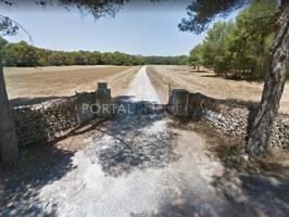 Casa con terreno en venta en Alaior photo 0