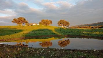 Chalet en venta en Puertollano, Puertollano photo 0