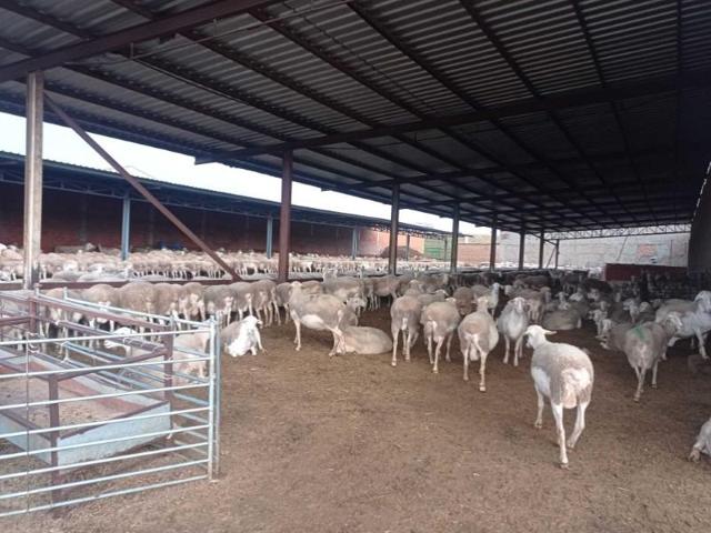 Chalet en venta en Motilla del Palancar photo 0