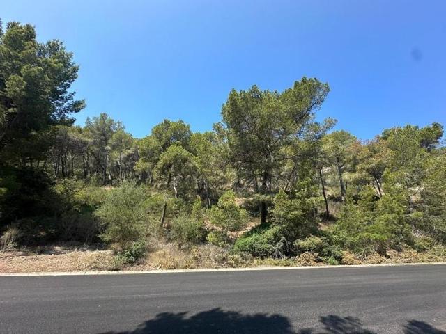 Terreno en venta en Andratx, Port Andratx photo 0