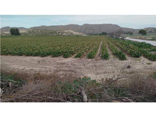 Chalet en venta en Albacete photo 0