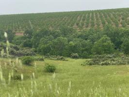 Chalet en venta en Toledo photo 0