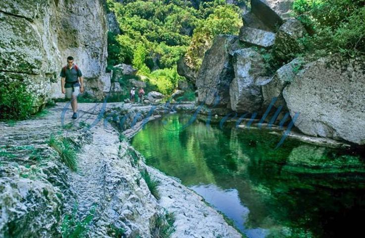 Local comercial en venta en Móra d'Ebre, Móra d'Ebre photo 0