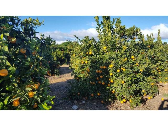 Chalet en venta en Huelva photo 0