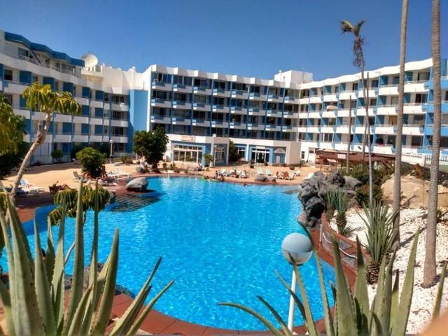 Estudio en alquiler en San Miguel de Abona, Avenida JM Galvan Bello, 38639 photo 0