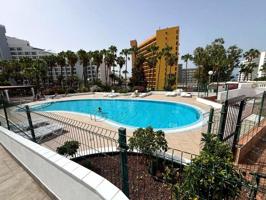 Estudio en alquiler en Adeje, Avenida Eugenio Dominguez Alfonso, 38660 photo 0