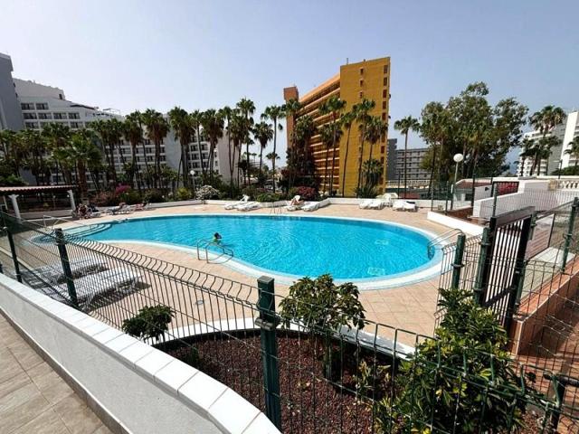 Estudio en alquiler en Adeje, Avenida Eugenio Dominguez Alfonso, 38660 photo 0