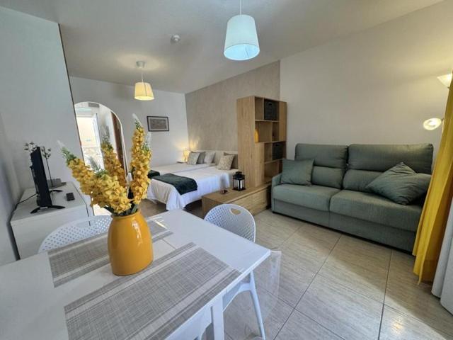 Estudio en alquiler en Arona, DE LA TE, 38630 photo 0