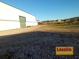 Terreno en alquiler en Polanco, Barrio el Campón, 39318 photo 0