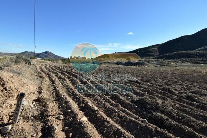 Terreno en venta en Lorca, Campo López photo 0