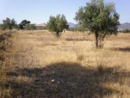 Terreno en venta en Onil, Onil photo 0