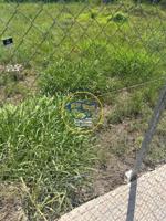 Terreno en venta en Albaida, Aljorf photo 0