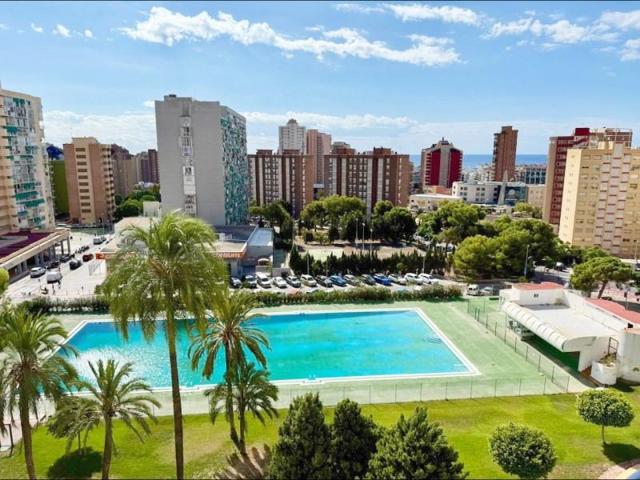 Estudio en venta en Benidorm, Juzgados photo 0