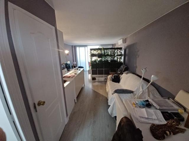 Estudio en venta en Manilva photo 0
