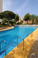 Estudio en venta en Benidorm, Benidorm photo 0