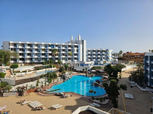 Estudio en venta en San Miguel de Abona, San Miguel de Abona photo 0