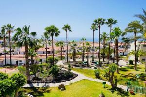 Estudio en venta en Adeje, Calle Eucalipto, 38679 photo 0