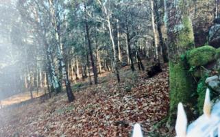 Parcela en venta en Ponteareas, ZONA A BAÑA photo 0