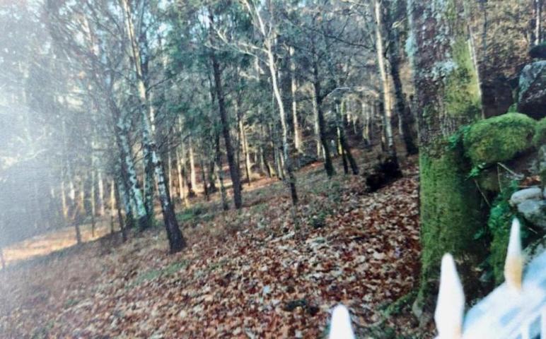 Parcela en venta en Ponteareas, ZONA A BAÑA photo 0