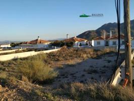 Parcela en venta en Arboleas, Los Higuerales photo 0