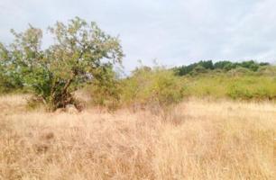 Parcela en venta en Ponferrada, Ponferrada photo 0