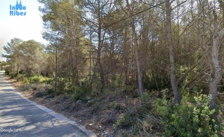 Parcela en venta en Sant Pere de Ribes, Can Lloses - Valles Altos photo 0