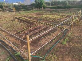 Parcela en alquiler en Alaquàs, Alaquàs photo 0