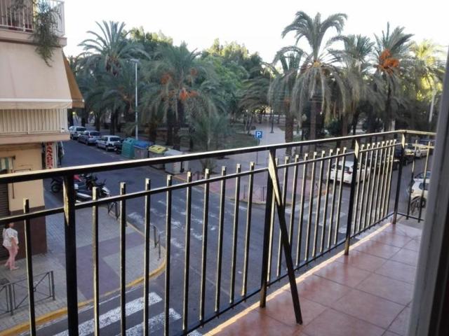 Habitación en alquiler en Elche, Altabix photo 0