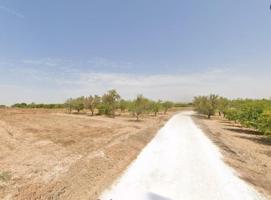 Parcela en alquiler en Torrellano, Torrellano photo 0