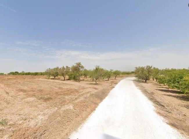 Parcela en alquiler en Torrellano, Torrellano photo 0