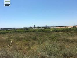 Parcela en alquiler en Elche, Elche photo 0