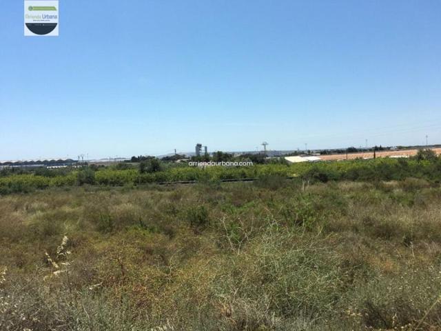 Parcela en alquiler en Elche, Elche photo 0