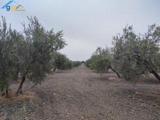 Parcela en venta en Paradas, Paradas photo 0