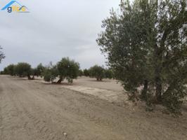 Parcela en venta en Arahal, Arahal photo 0