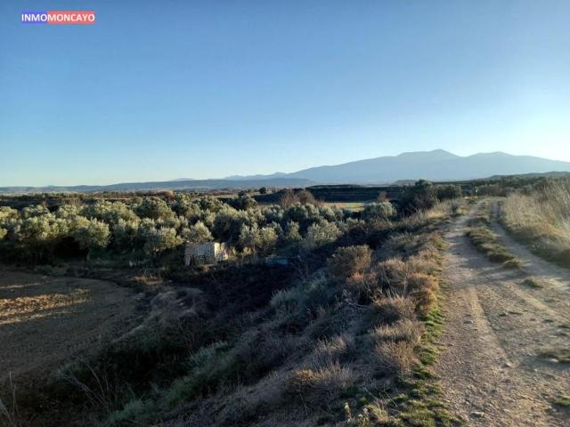 Parcela en venta en Novallas, - - photo 0