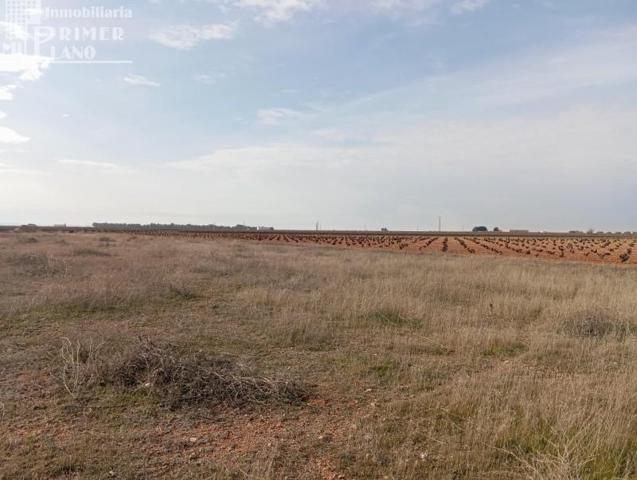 Parcela en venta en Socuéllamos, Carretera Tomelloso - Socuéllamos photo 0