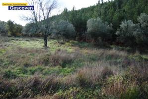 Parcela en venta en Valencia de Alcántara, Campiña photo 0