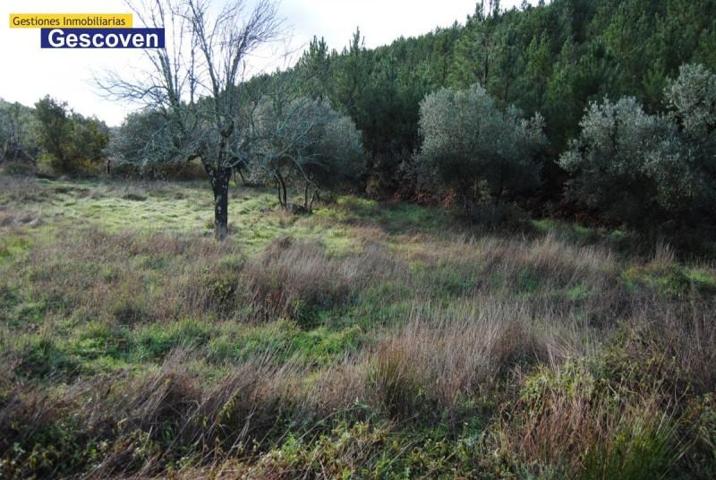 Parcela en venta en Valencia de Alcántara, Campiña photo 0